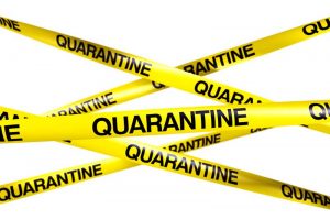 inquarantaine_small